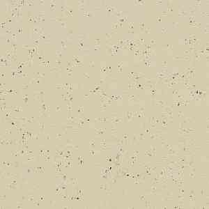 Линолеум Marmoleum Solid Cocoa 3584-358435 white chocolate фото ##numphoto## | FLOORDEALER